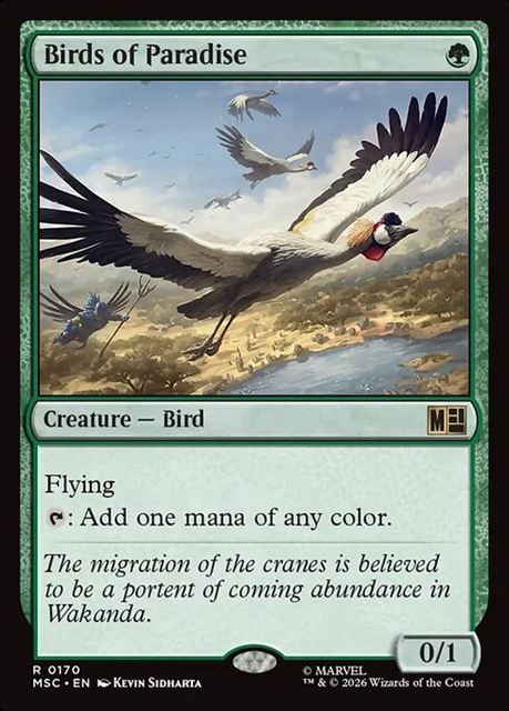 英)【Surge-Foil】極楽鳥 / Birds of Paradise【MSC】 No.170 | MtG