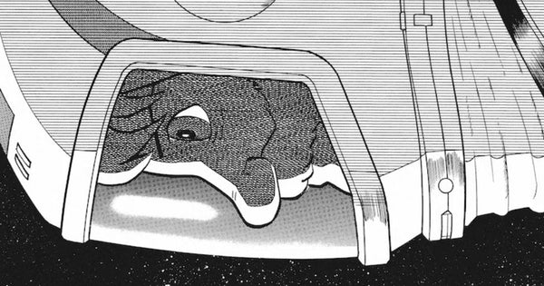 ブラケットモンスター