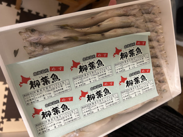 今月はE