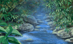 Stream of Life/命の川