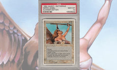 SUMMER、Serra Angel PSA10