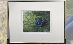《Black Lotus》リトグラフ