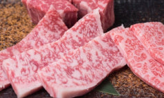 お泊りまじっく2011冬