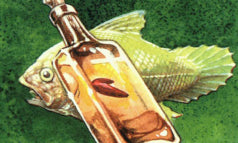 オールドスクールデッキ紹介その１１(魚人)