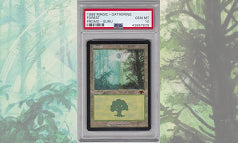《森/Forest》Guru Land PSA10
