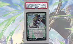 《野獣の擁護者、ビビアン/Vivien, Champion of the Wilds》Foil 日本オリジナルアート PSA10