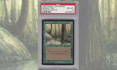 《Singing Tree》PSA10