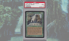 レジェンド版《森の知恵/Sylvan Library》PSA9