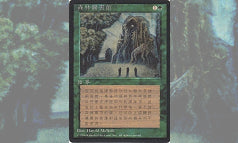 第4版《森の知恵/Sylvan Library》中国語版