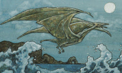 Sea Drake/海のドレイク