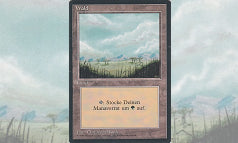 Wald(平地のような森)-エラーカード-