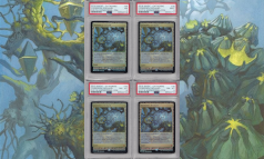 Zendikar Expeditions《禁忌の果樹園/Forbidden Orchard》PSA鑑定品