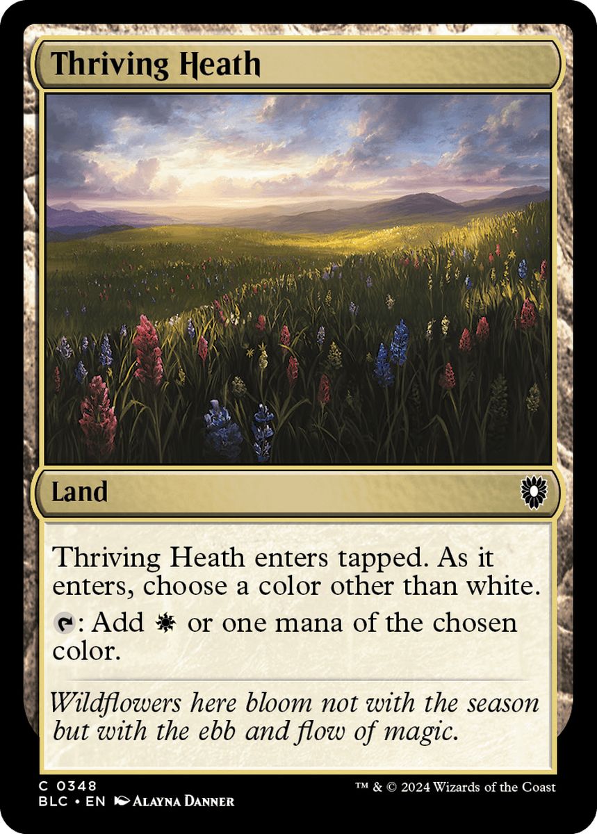 (英)興隆する荒野 / Thriving Heath【BLC】 No.348