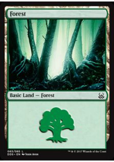 (英)森 / Forest【MVSM】 No.063