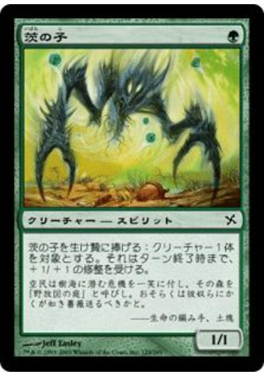 (日)【Foil】茨の子 / Child of Thorns【BOK】 No.123