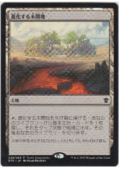 (日)進化する未開地 / Evolving Wilds【DTK】 Tarkir Dragonfury プレリリースプロモ No.248