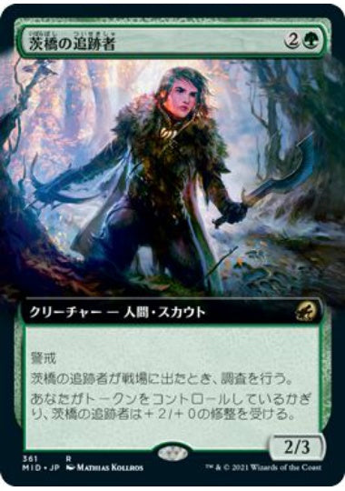 (日)【Foil】茨橋の追跡者 / Briarbridge Tracker ★拡張枠★ 【MID】 No.361