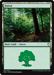 (英)森 / Forest【CMDANTHO2】 No.307