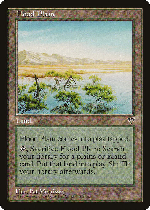 (英)氾濫原 / Flood Plain【MIR】 No.326
