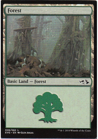 (英)森 / Forest【DDAEVG】 No.028