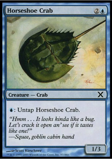 (英)カブトガニ / Horseshoe Crab【10E】 No.087