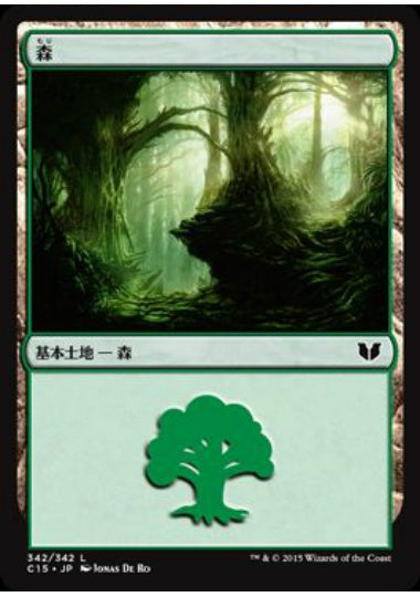 (日)森 / Forest【C15】 No.342