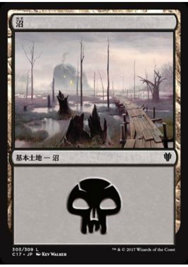 (日)沼 / Swamp【C17】 (Kev Walker) No.303