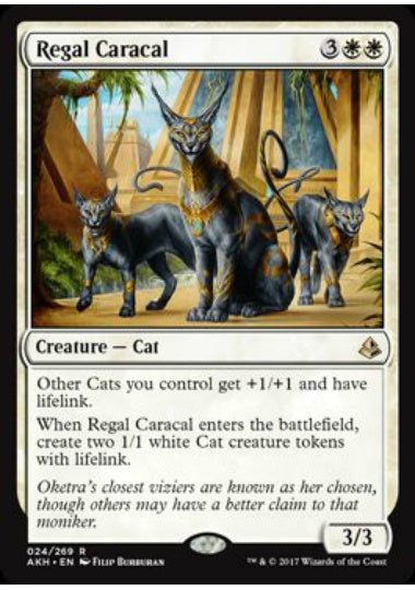 (英)威厳あるカラカル / Regal Caracal【AKH】 No.024