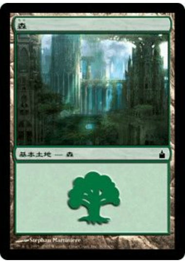 (日)森 / Forest【RAV】 No.303