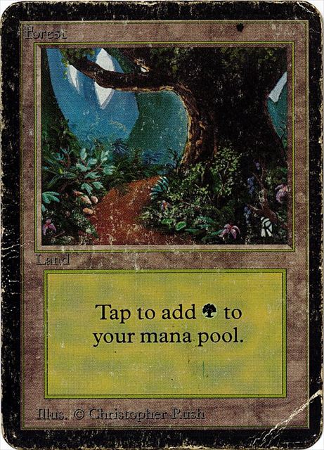 (英)森 / Forest【ALPHA】 (Flowers and Path) No.294 [特価品]