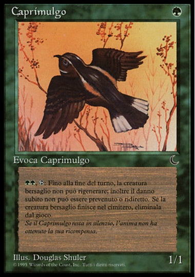 (イタリア語)Caprimulgo / Whippoorwill【DRK】 No.091
