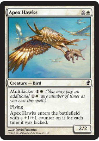 (英)【Foil】天頂の鷹 / Apex Hawks【CNS】 No.067
