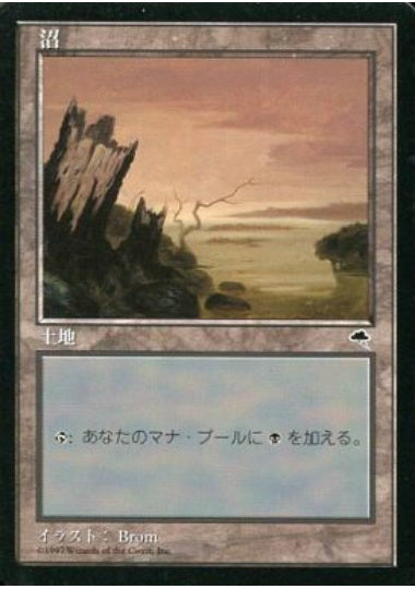 (日)沼 / Swamp【TMP】 No.341