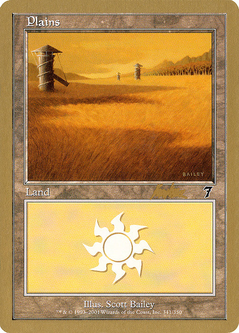 (英)平地 / Plains【WC02】 World Championship Decks 2002 Brian Kibler 金枠 No.089