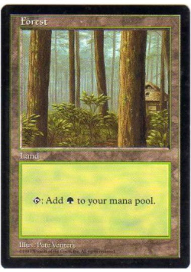 (英)森 / Forest【PRM】 日本 APAC LAND1 APACランド No.028