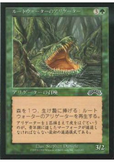 (日)ルートウォーターのアリゲーター / Rootwater Alligator【EXO】 No.122