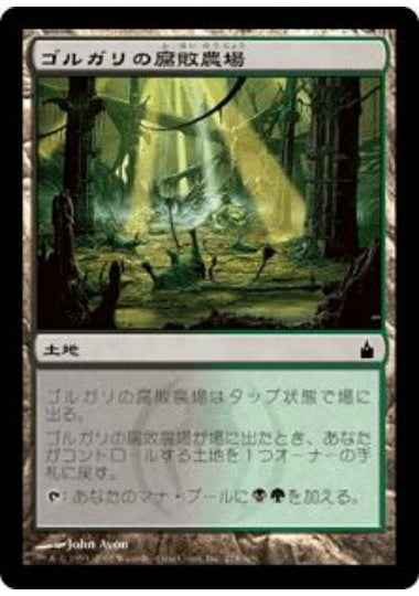 (日)【Foil】ゴルガリの腐敗農場 / Golgari Rot Farm【RAV】 No.278