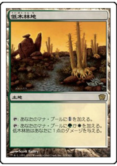 (日)【Foil】低木林地 / Brushland【9ED】 No.319