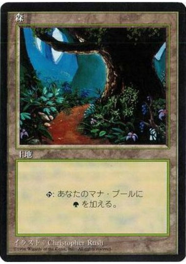 (日)森 / Forest【4ED】 (Flowers and Path) 黒枠 No.376