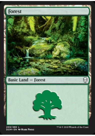 (英)【Foil】森 / Forest【DOM】 No.269