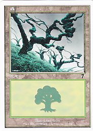 (日)森 / Forest【7ED】 No.331