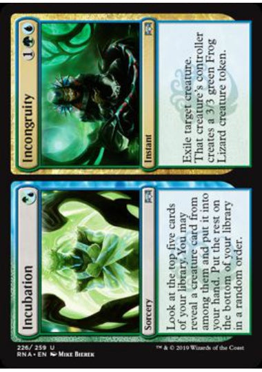 (英)【Foil】孵化+不和 / Incubation+Incongruity【RNA】 No.226