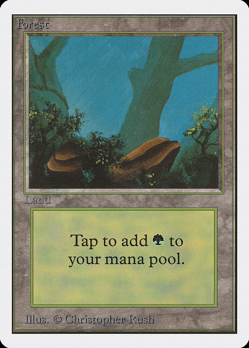 (英)森 / Forest【2ED】 (Green Rocks) No.302