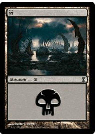 (日)沼 / Swamp【TSP】 No.293