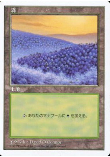 (日)森 / Forest【5ED】 No.449