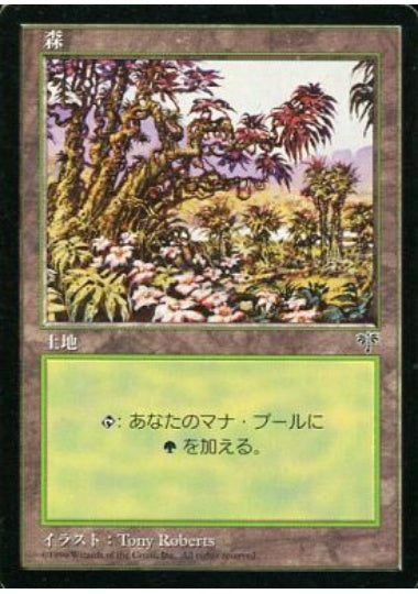 (日)森 / Forest【MIR】 No.350