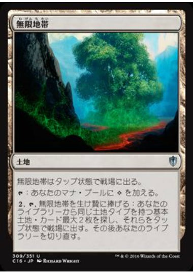 (日)無限地帯 / Myriad Landscape【C16】 No.309