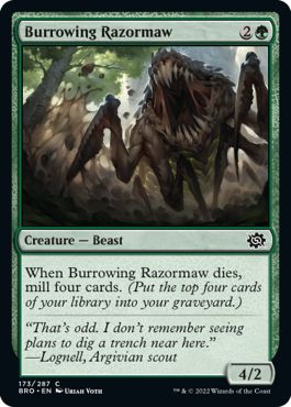 (英)【Foil】穴掘り剃刀大口 / Burrowing Razormaw【BRO】 No.173