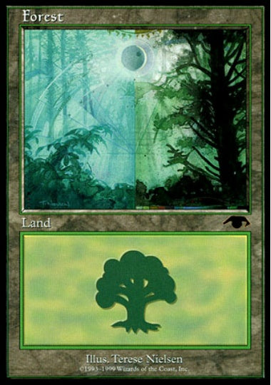 (英)森 / Forest【PRM】 Guru Land No.053