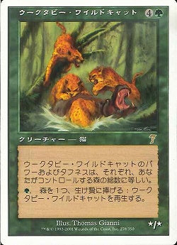 (日)ウークタビー・ワイルドキャット / Uktabi Wildcats【7ED】 No.278